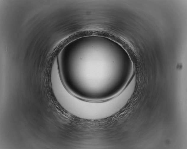 X0000100330872200806121125