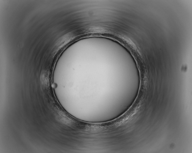 X0000100330873200806121125