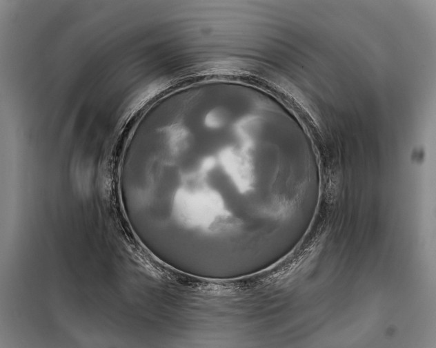 X0000100330874200806121125