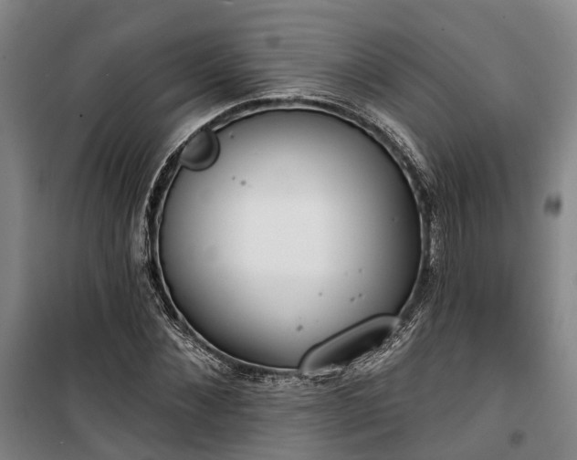 X0000100330876200806121125