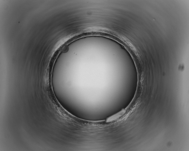 X0000100330877200806121125