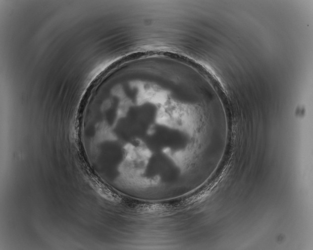 X0000100330879200806121125