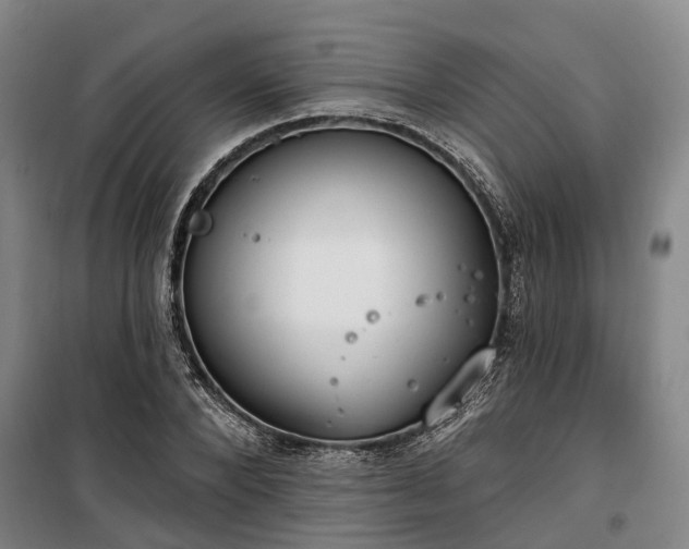 X0000100330880200806121125