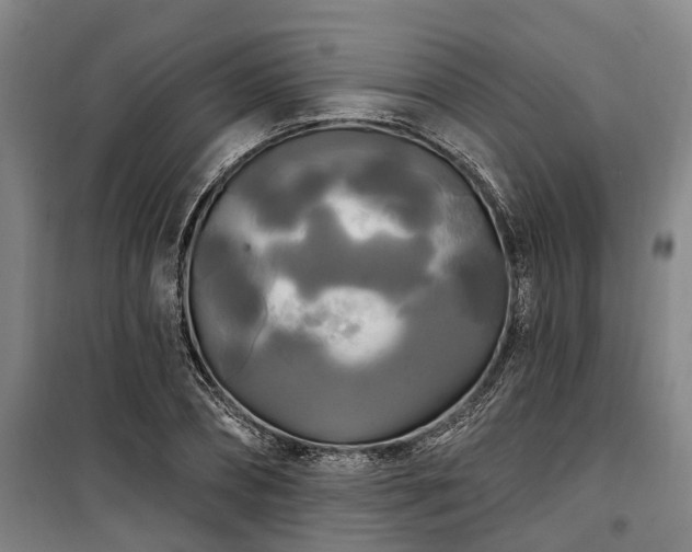 X0000100330882200806121125