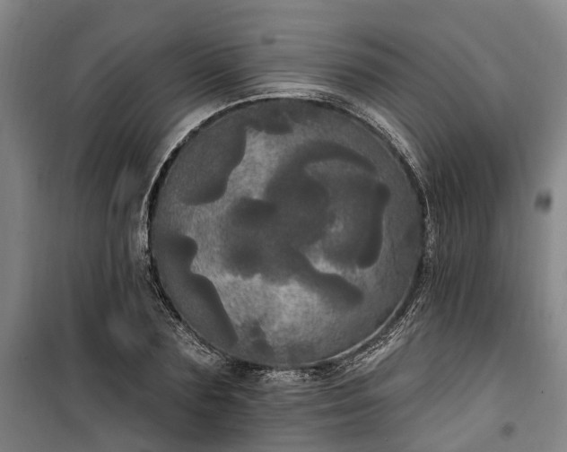 X0000100330883200806121125