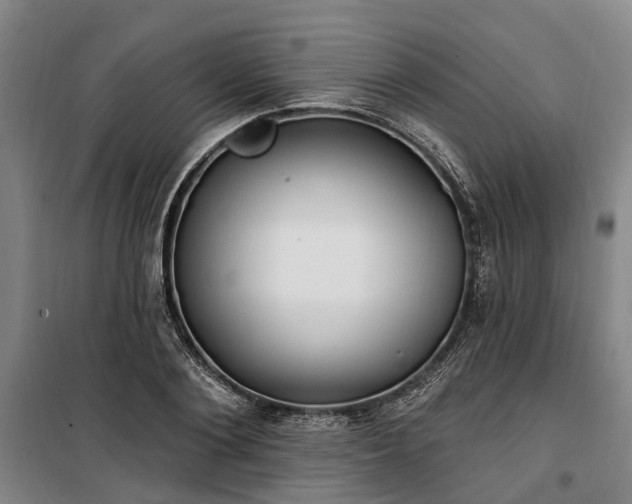 X0000100330884200806121125