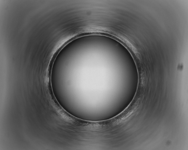 X0000100330885200806121125