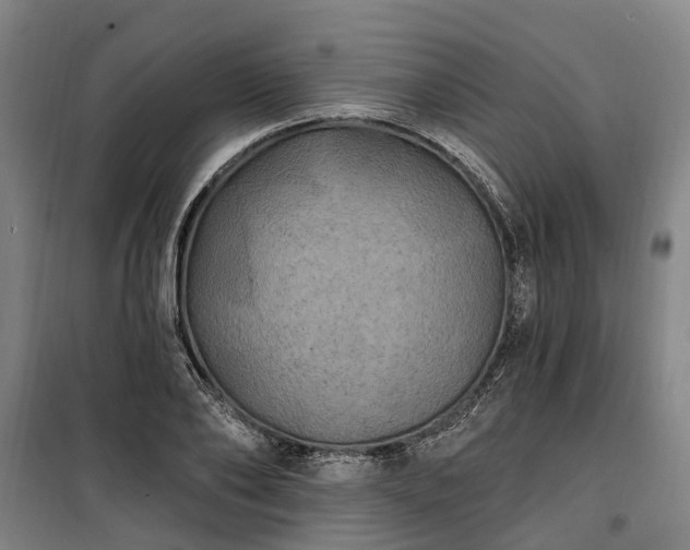 X0000100330886200806121125