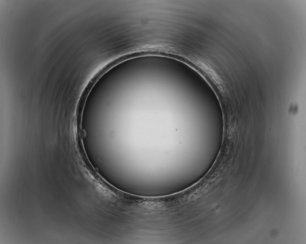 X0000100330888200806121125