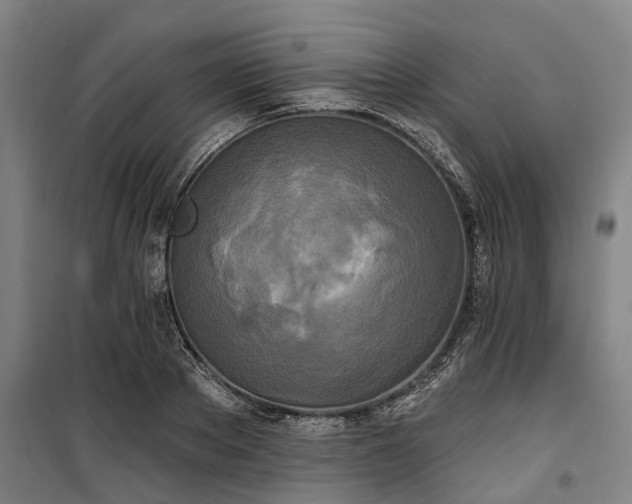 X0000100330889200806121125