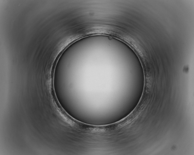 X0000100330890200806121125