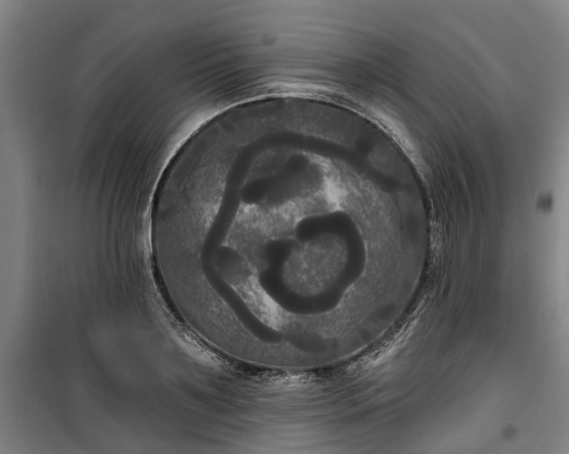 X0000100330891200806121125