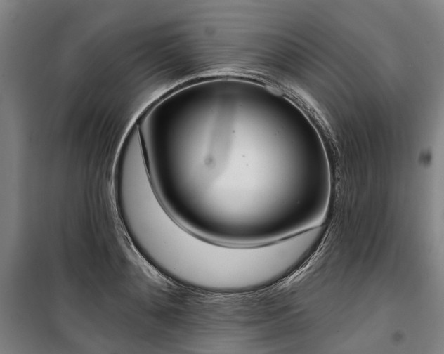 X0000100330892200806121125