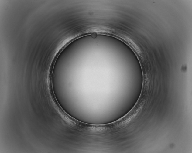 X0000100330893200806121125