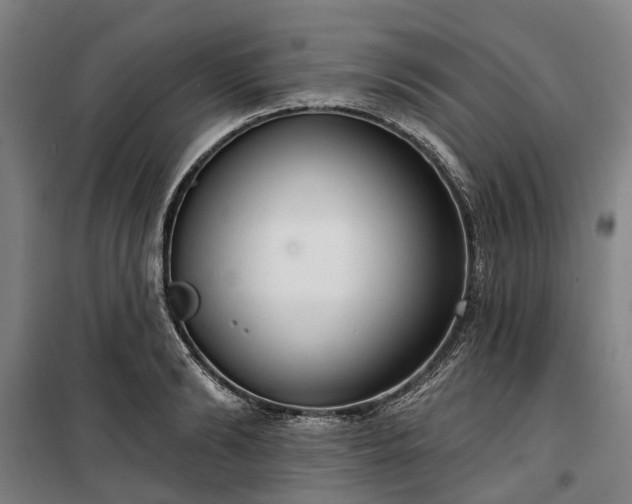 X0000100330894200806121125