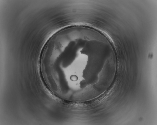 X0000100330895200806121125