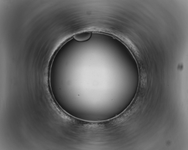 X0000100330896200806121125