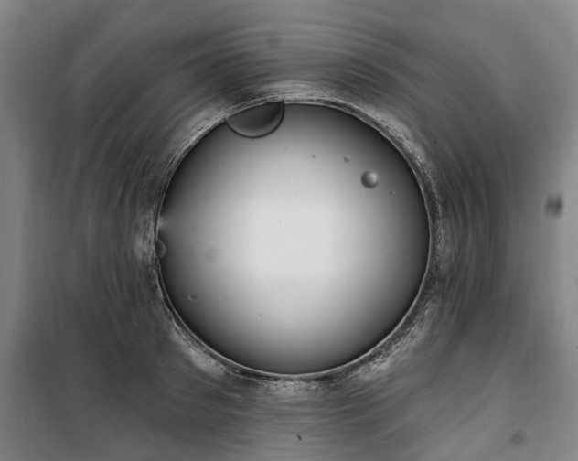 X0000100330897200806121125