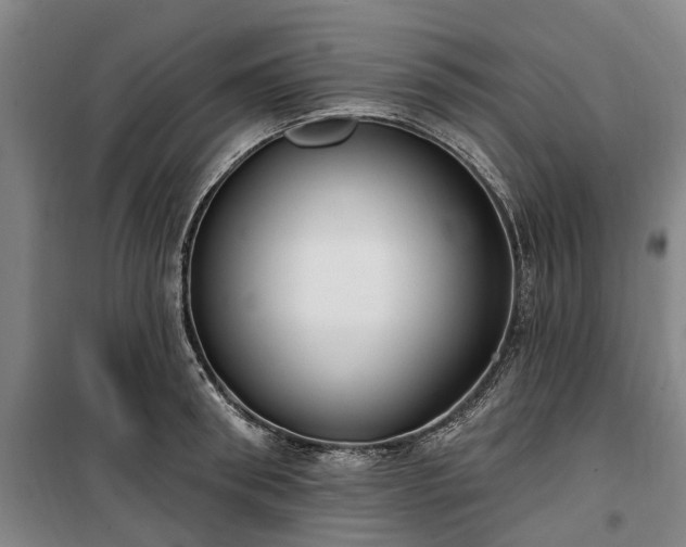 X0000100330898200806121125