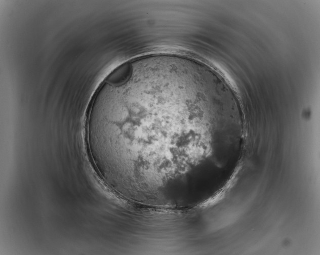 X0000100330899200806121125