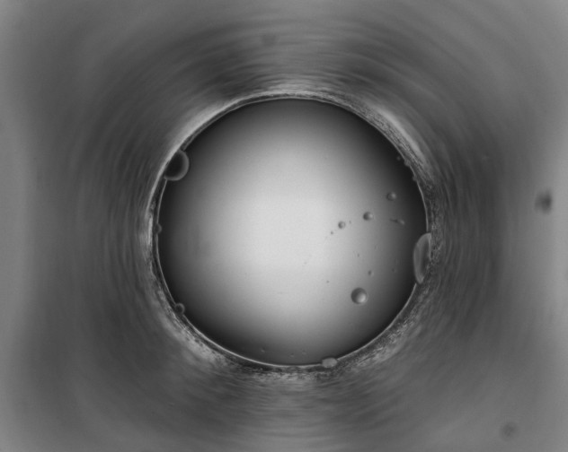 X0000100330900200806121125