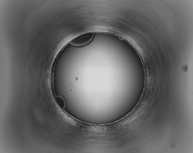 X0000100330901200806121125