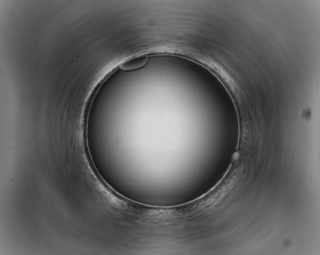 X0000100330902200806121125