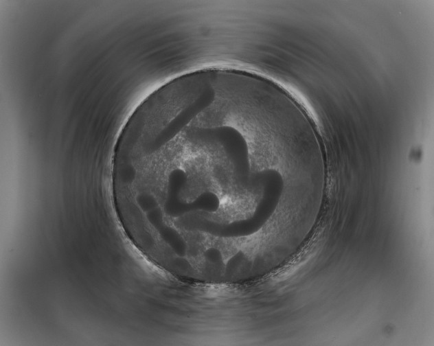 X0000100330903200806121125