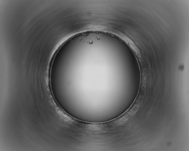 X0000100330904200806121125