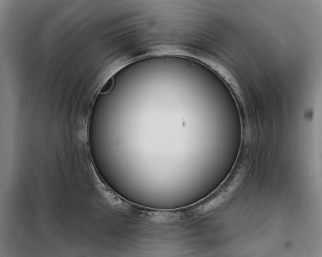 X0000100330905200806121125