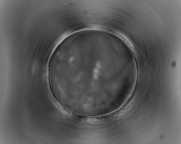 X0000100330907200806121125