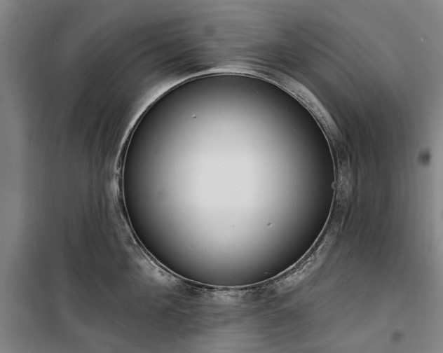 X0000100330908200806121125