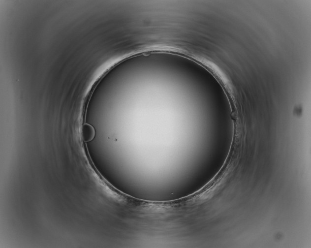 X0000100330910200806121124