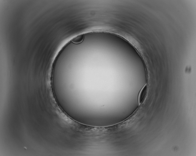 X0000100330912200806121124