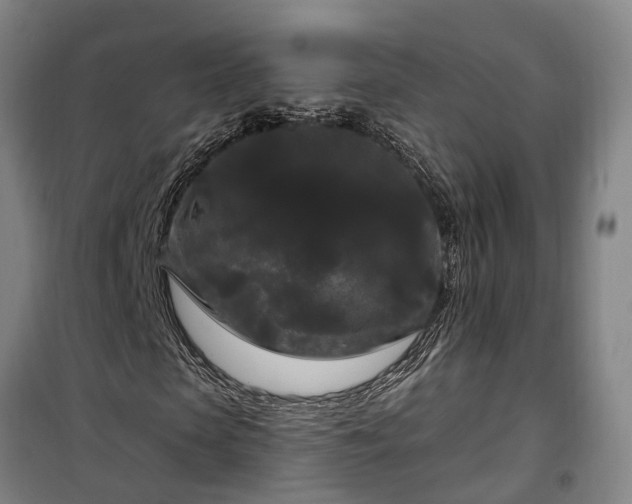 X0000100330913200806121124