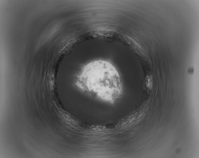 X0000100330915200806121124