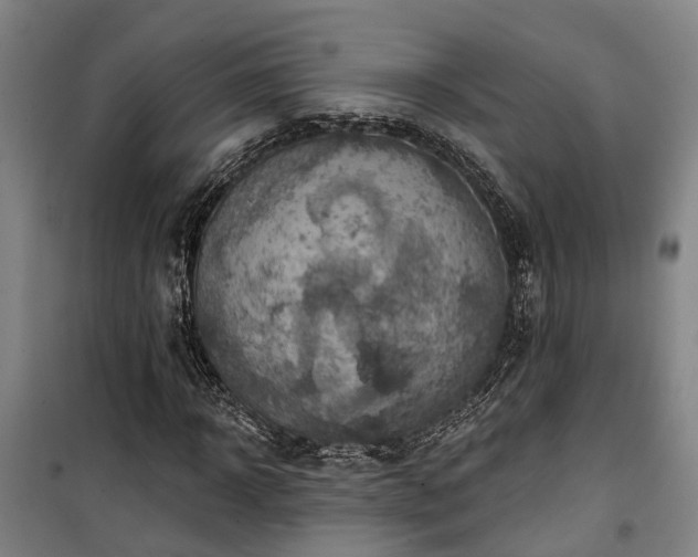 X0000100330918200806121124