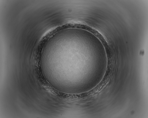 X0000100330919200806121124