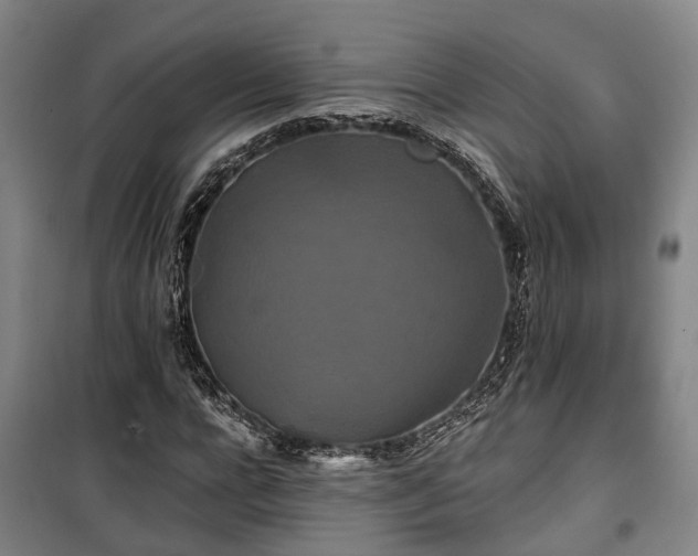 X0000100330920200806121124