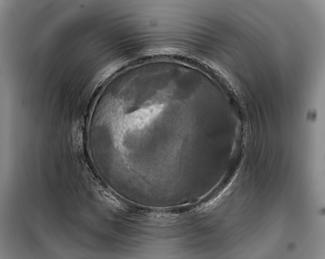 X0000100330921200806121124