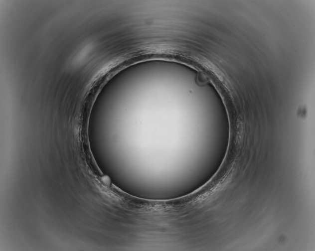 X0000100330922200806121124