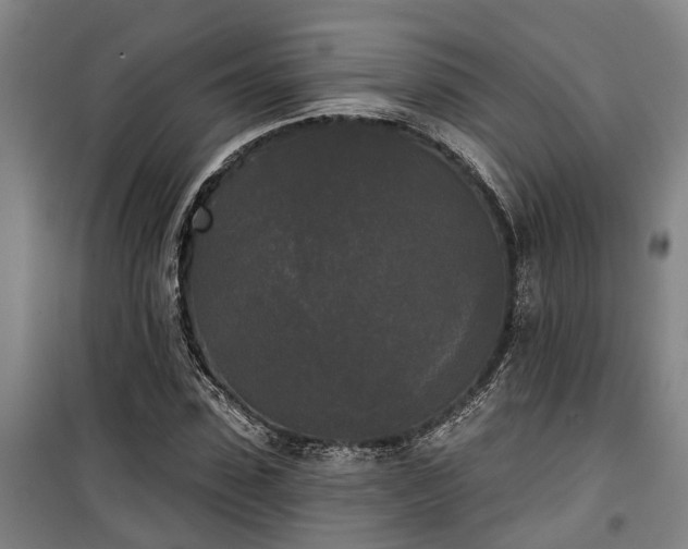 X0000100330923200806121124