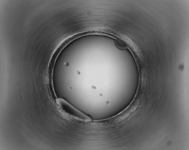 X0000100330924200806121124