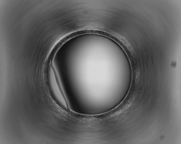 X0000100330926200806121124