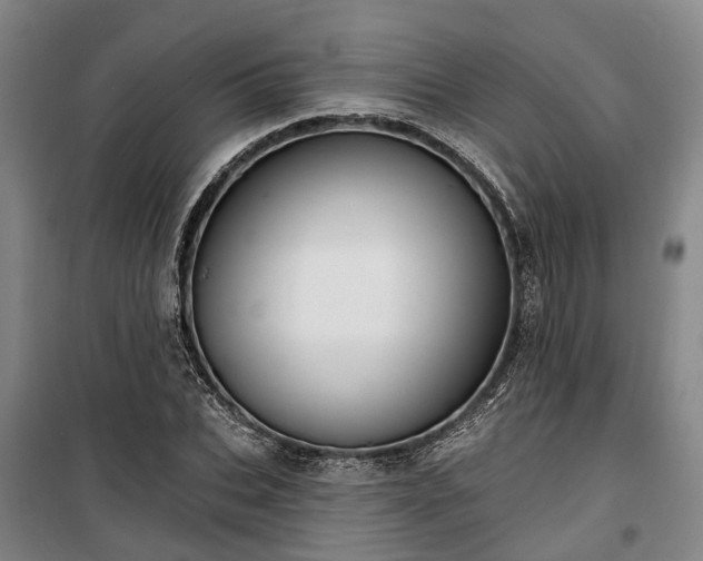 X0000100330927200806121124