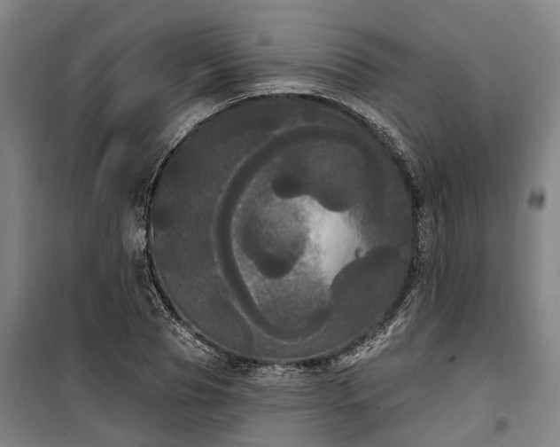 X0000100330929200806121124