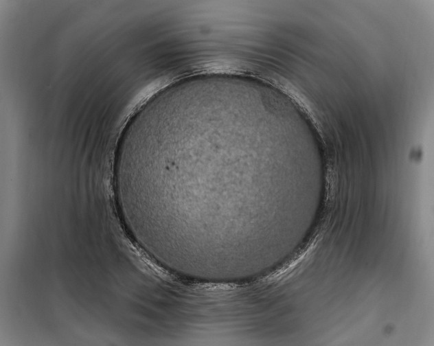 X0000100330930200806121124