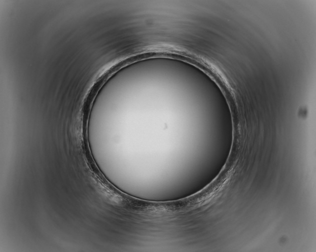 X0000100330931200806121124