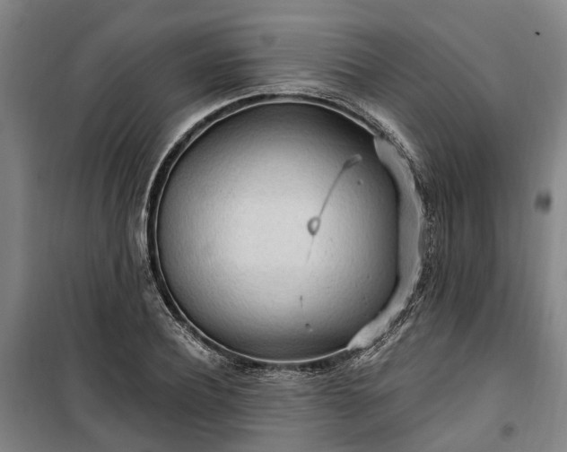 X0000100330932200806121124