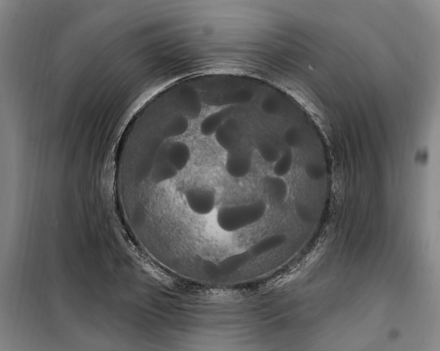 X0000100330933200806121124